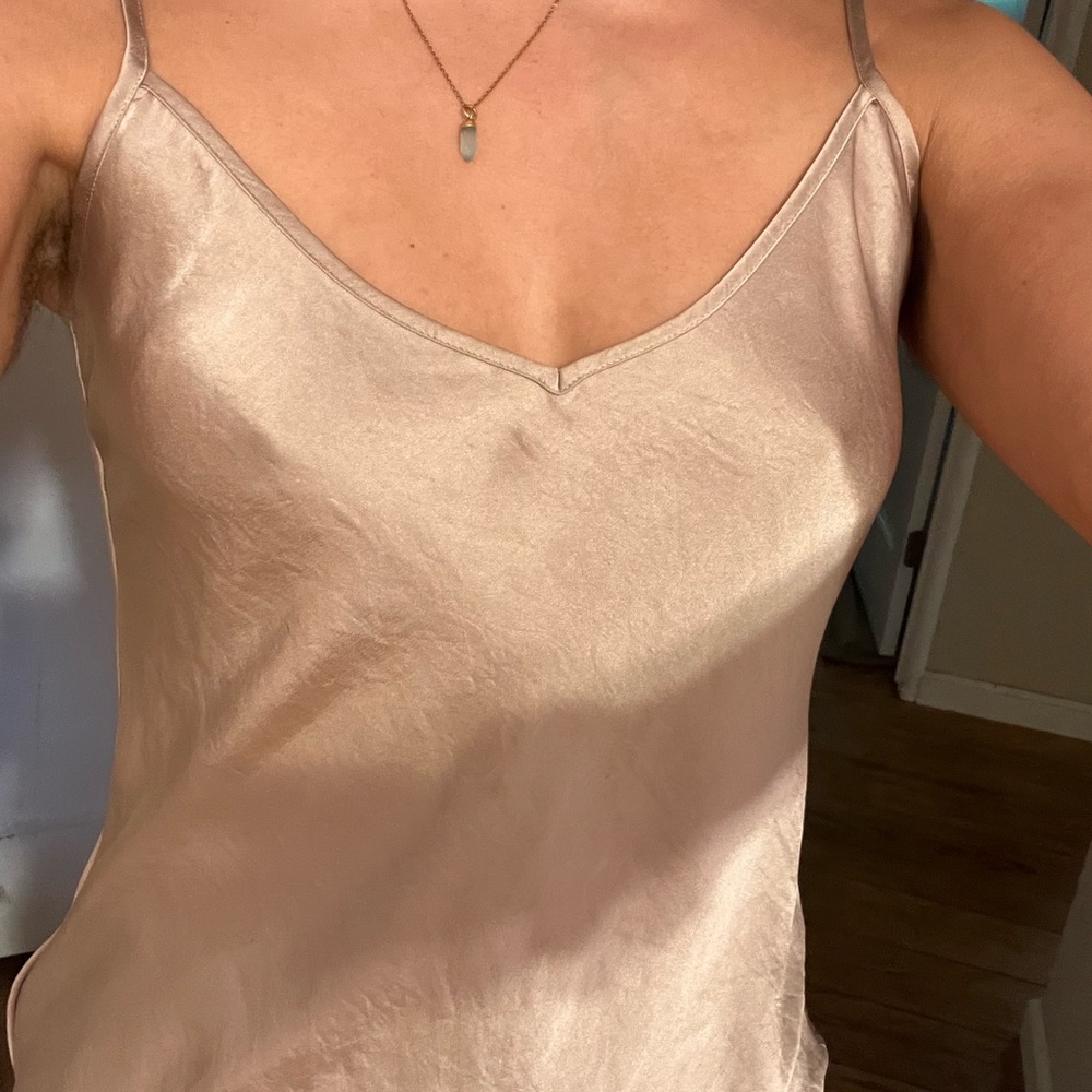 Aritzia sheer satin blouse